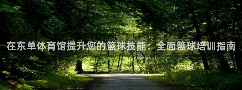 富联平台网站是什么：在东单体育馆提升您的篮球技能：全
