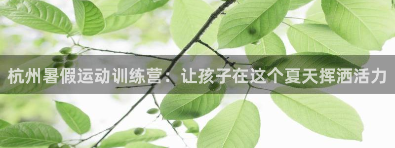 富联是什么平台：杭州暑假运动训练营：让孩子在这个夏天