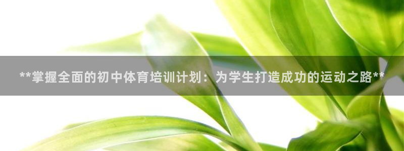 富联娱乐测速怎么样：**掌握全面的初中体育培训计划：