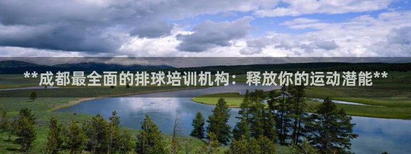 富联商厦：**成都最全面的排球培训机构：释放你的运动