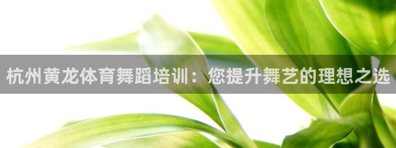 富联平台挂机怎么操作：杭州黄龙体育舞蹈培训：您提升舞