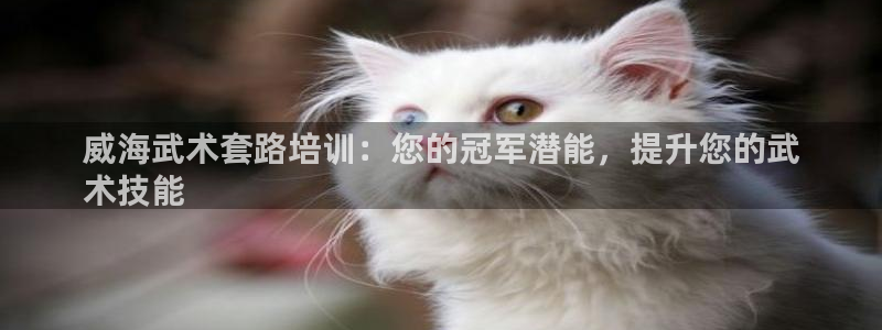 富联平台况7O777：威海武术套路培训：您的冠军潜能