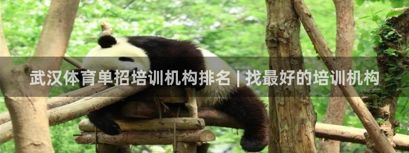 富联平台靠 5o69I7：武汉体育单招培训机构排名 