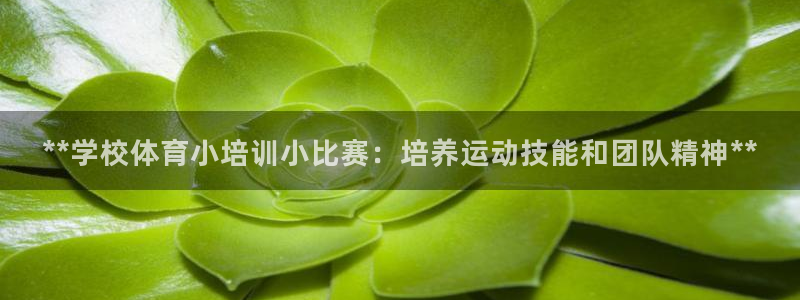 富联平台注册登录入口：**学校体育小培训小比赛：培养