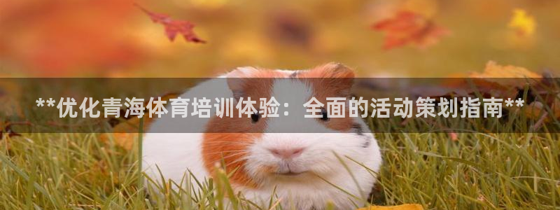 富联官网注册流程图片：**优化青海体育培训体验：全面