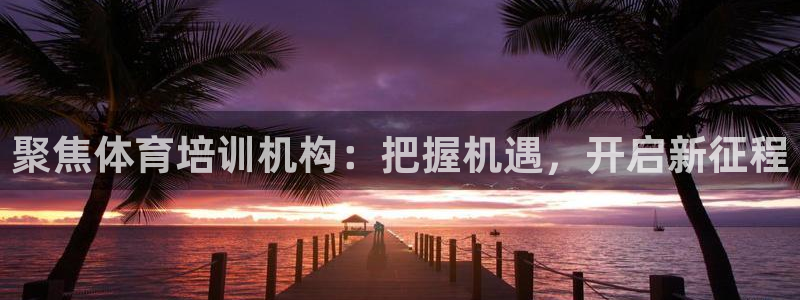 富联娱乐老板叫什么：聚焦体育培训机构：把握机遇，开启