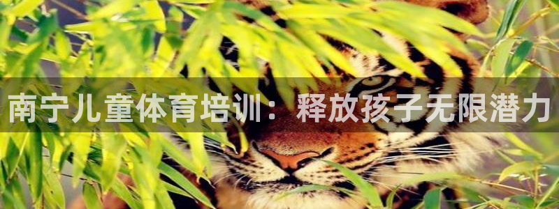 富联平台界7O777：南宁儿童体育培训：释放孩子无限