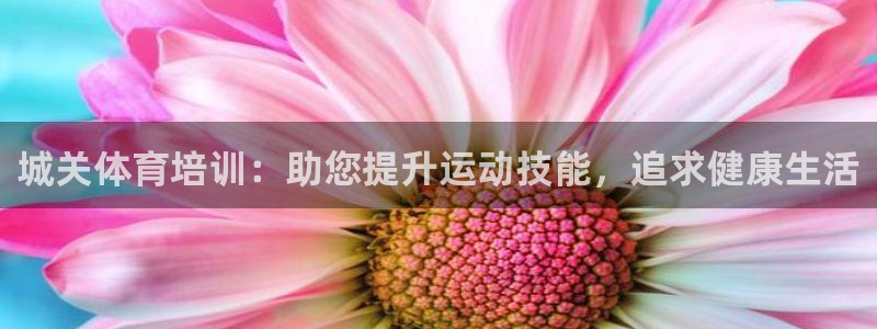 富联平台安装流程：城关体育培训：助您提升运动技能，追