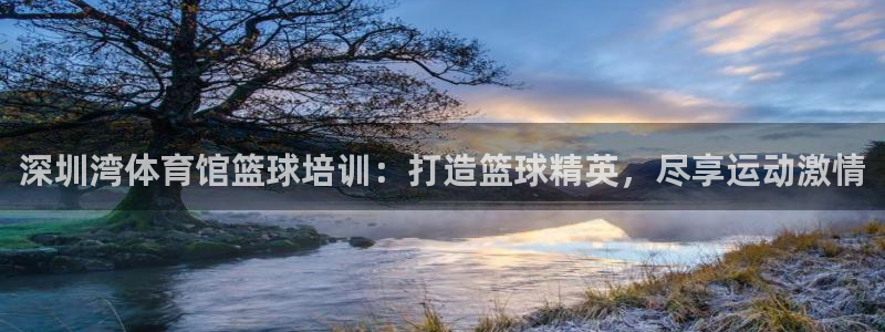 富联娱乐平台开户流程及时间：深圳湾体育馆篮球培训：打