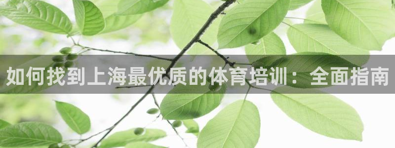富联娱乐乙6.7.5.1.3.8：如何找到上海最优质