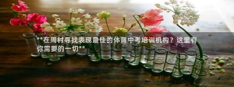 富联娱乐老板：**在周村寻找表现最佳的体育中考培训机