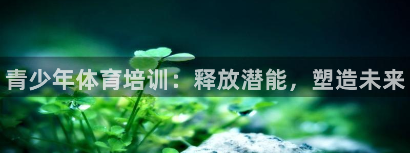 富联平台马 411O31 富联：青少年体育培训：释放