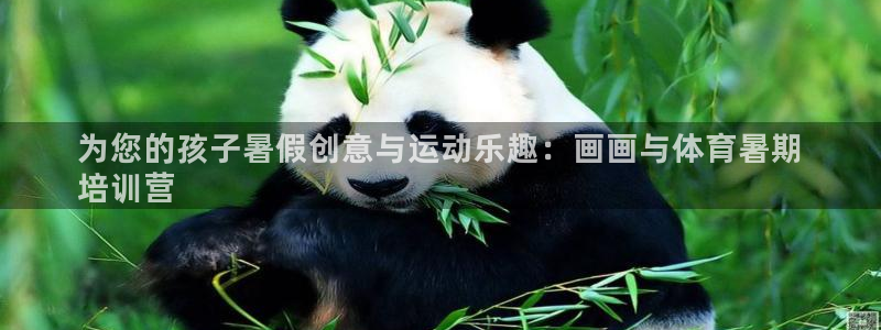 富联平台官网登录入口：为您的孩子暑假创意与运动乐趣：