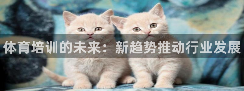 富联超市：体育培训的未来：新趋势推动行业发展
