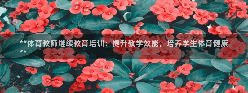 富联平台注册登录入口：**体育教师继续教育培训：提升