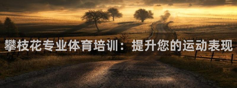 富联申购何时上市：攀枝花专业体育培训：提升您的运动表
