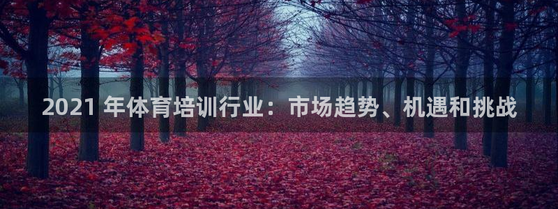 富联平台登录入口官网：2021 年体育培训行业：市场