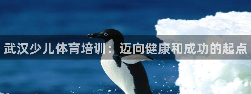 富联平台官网：武汉少儿体育培训：迈向健康和成功的起点