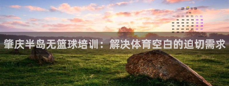 富联平台便7O777：肇庆半岛无篮球培训：解决体育空