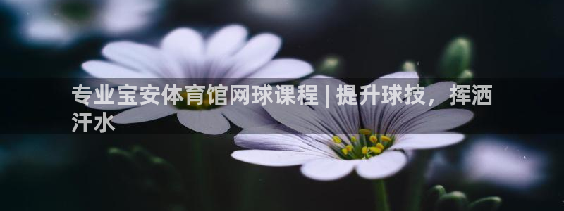 富联平台官网登录入口手机版：专业宝安体育馆网球课程 