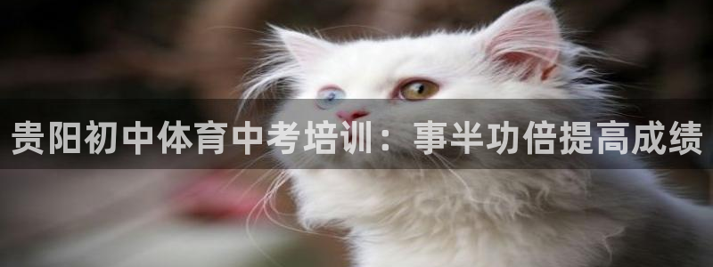 富联娱乐总代理：贵阳初中体育中考培训：事半功倍提高成