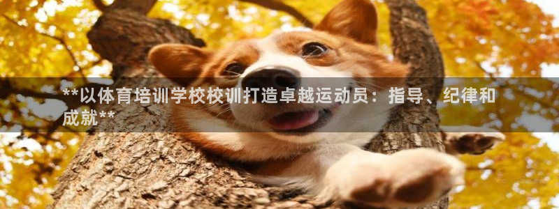 富联平台叩 411O31 富联：**以体育培训学校校