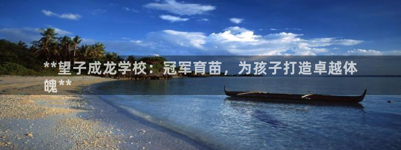 富联集团最新消息今天：**望子成龙学校：冠军育苗，为