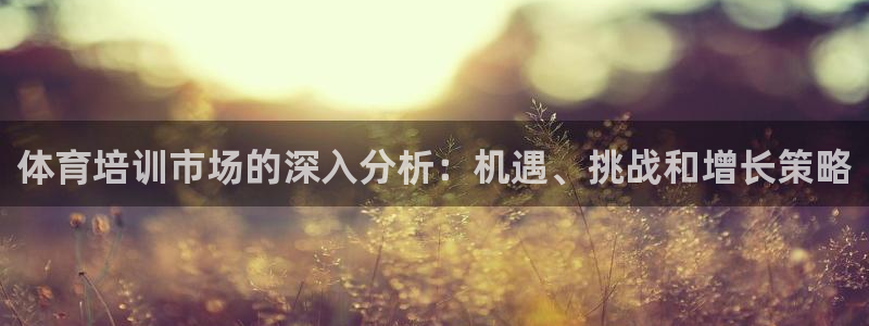 富联娱乐股东结构：体育培训市场的深入分析：机遇、挑战