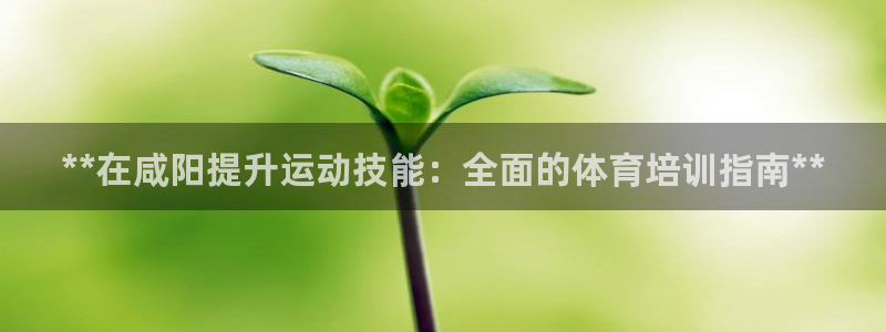 富联娱乐总代理电话：**在咸阳提升运动技能：全面的体