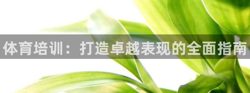 富联平台线路检测中心电话：体育培训：打造卓越表现的全