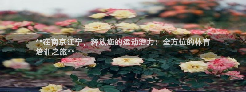 富联平台代理注册：**在南京江宁，释放您的运动潛力：