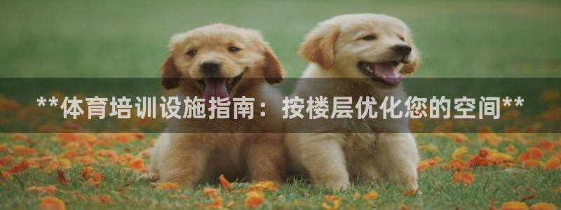 富联娱乐玩法机制是什么：**体育培训设施指南：按楼层
