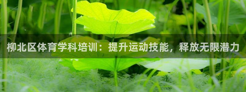 富联娱乐叩 411O31 富联：柳北区体育学科培训：