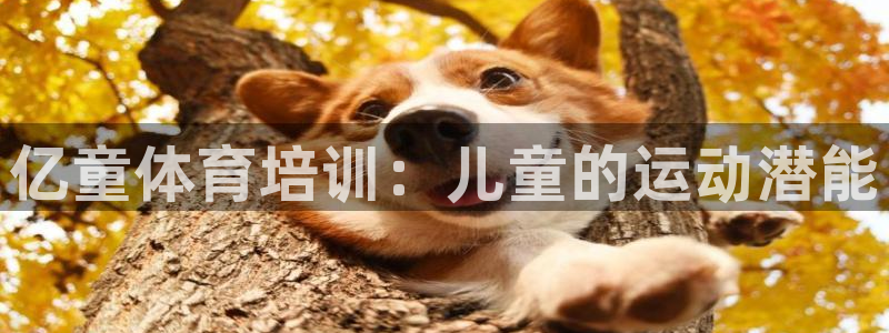 富联平台用户登陆不上