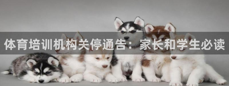 富联平台官网登录入口下载：体育培训机构关停通告：家长