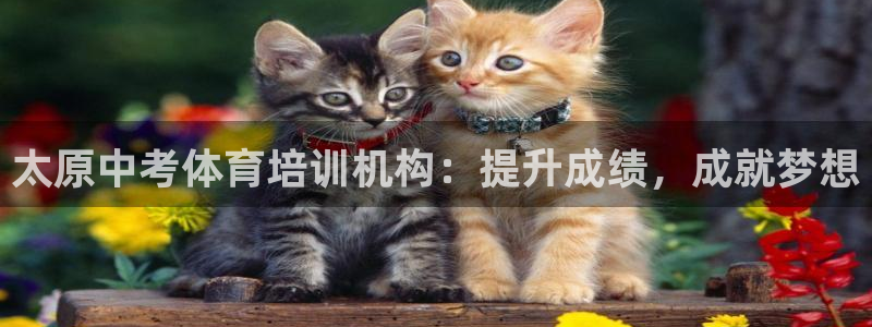富联官方网站入口网址是什么：太原中考体育培训机构：提
