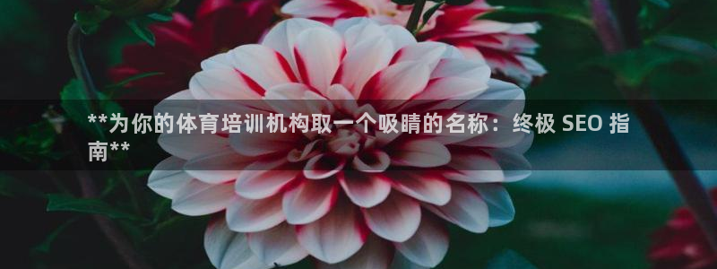 富联娱乐服务站：**为你的体育培训机构取一个吸睛的名