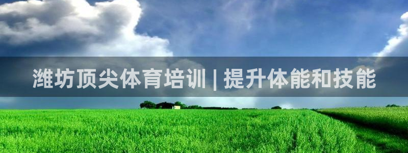 富联平台挂机赚钱：潍坊顶尖体育培训 | 提升体能和技