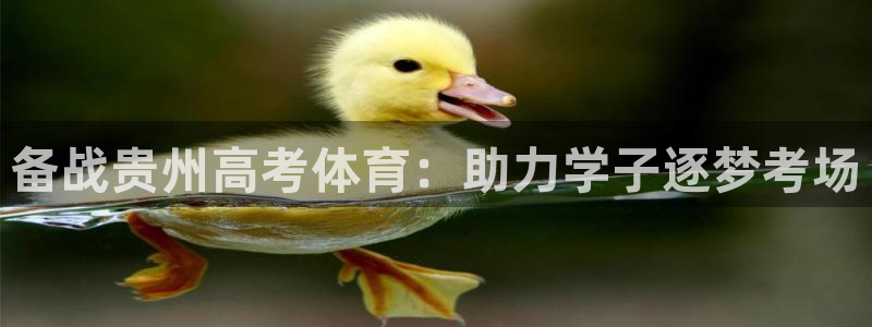 富联集团最新消息股价：备战贵州高考体育：助力学子逐梦