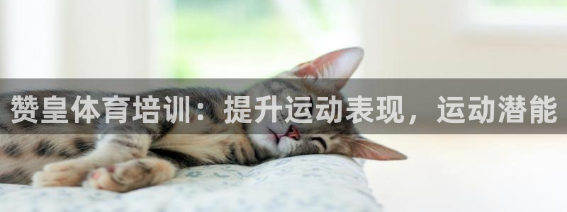 富联娱乐是骗局吗是真的吗：赞皇体育培训：提升运动表现