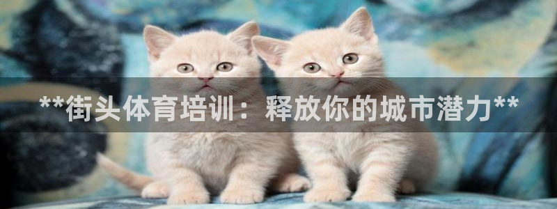 富联通讯简介：**街头体育培训：释放你的城市潜力**