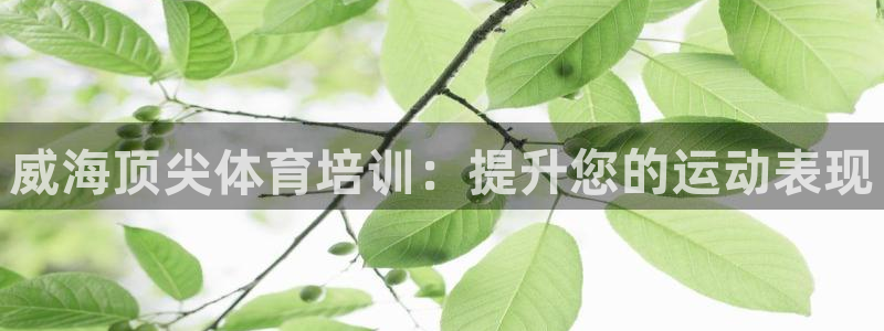 富联娱乐华 5O6917 娱乐：威海顶尖体育培训：提