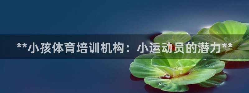 富联平台招 37oo735：**小孩体育培训机构：小