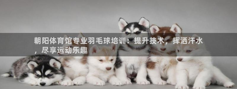 富联娱乐平台能挣到钱吗现在：朝阳体育馆专业羽毛球培训