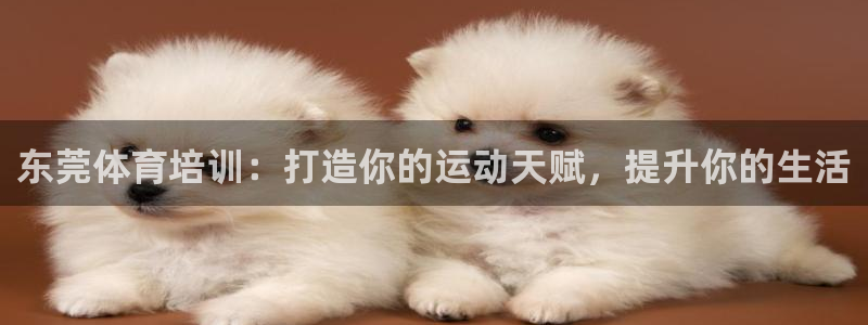 富联劳务：东莞体育培训：打造你的运动天赋，提升你的生