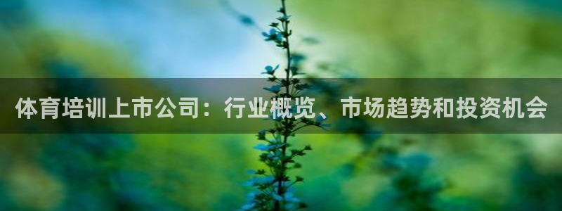 富联官方网站下载app：体育培训上市公司：行业概览、