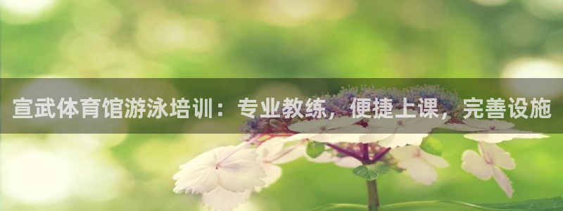 富联智能工坊：宣武体育馆游泳培训：专业教练，便捷上课，完善设