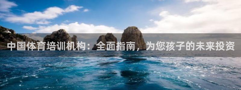富联申购什么时候上市交易：中国体育培训机构：全面指南
