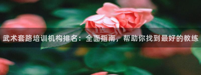 富联平台总代理电话：武术套路培训机构排名：全面指南，帮助你找