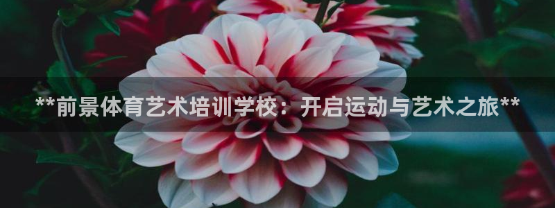 富联通讯简介：**前景体育艺术培训学校：开启运动与艺术之旅*